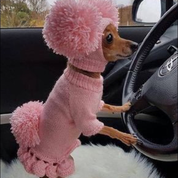 Meet your Posher, Megan - Picture 1 of 1